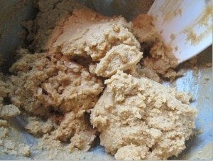 Peanut Butter Dough