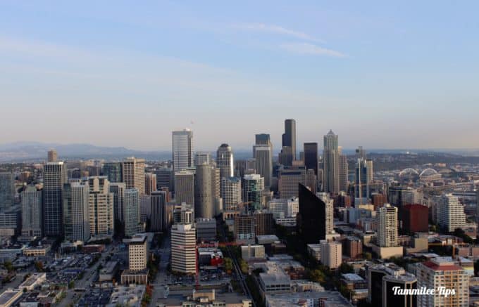 The Seattle Needle