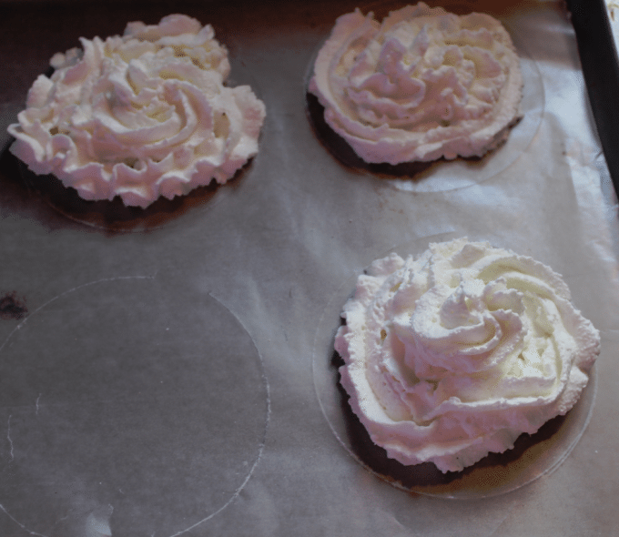 Frozen Whipped Cream perfect for Hot Chocolate! Tammilee Tips