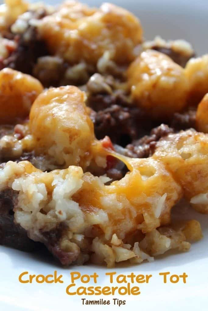 Crock Pot Tater Tot Casserole Recipe- Tammilee Tips