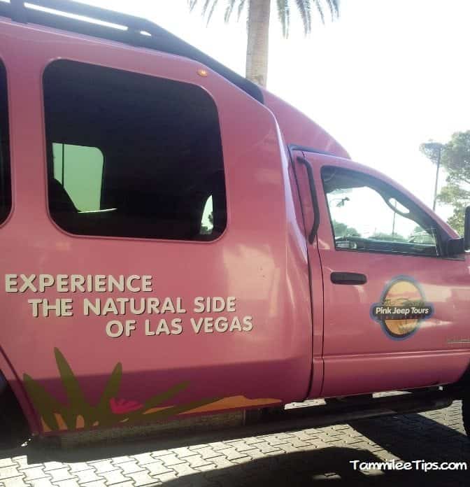 Pink jeep tour reviews #2
