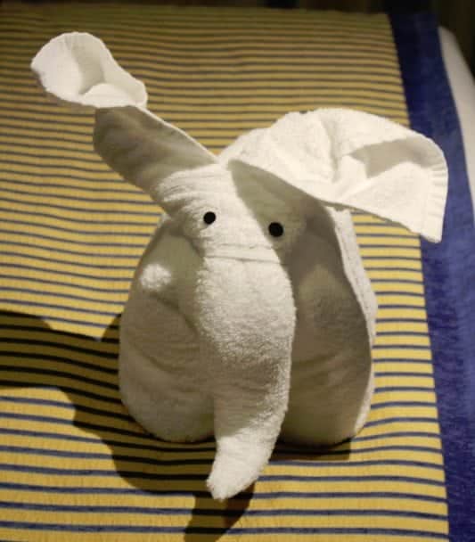 Towel Animals on the Carnival Breeze