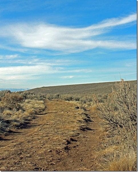 The Oregon Trail The Oregon Trail