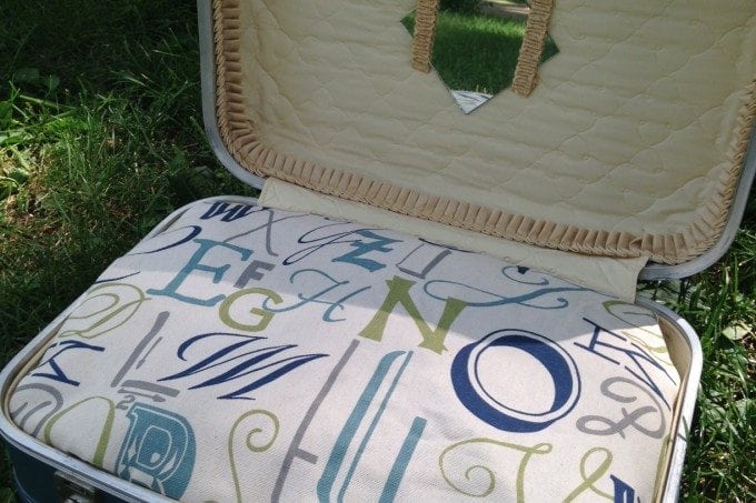 Super Cute DIY Suitcase Pet Bed