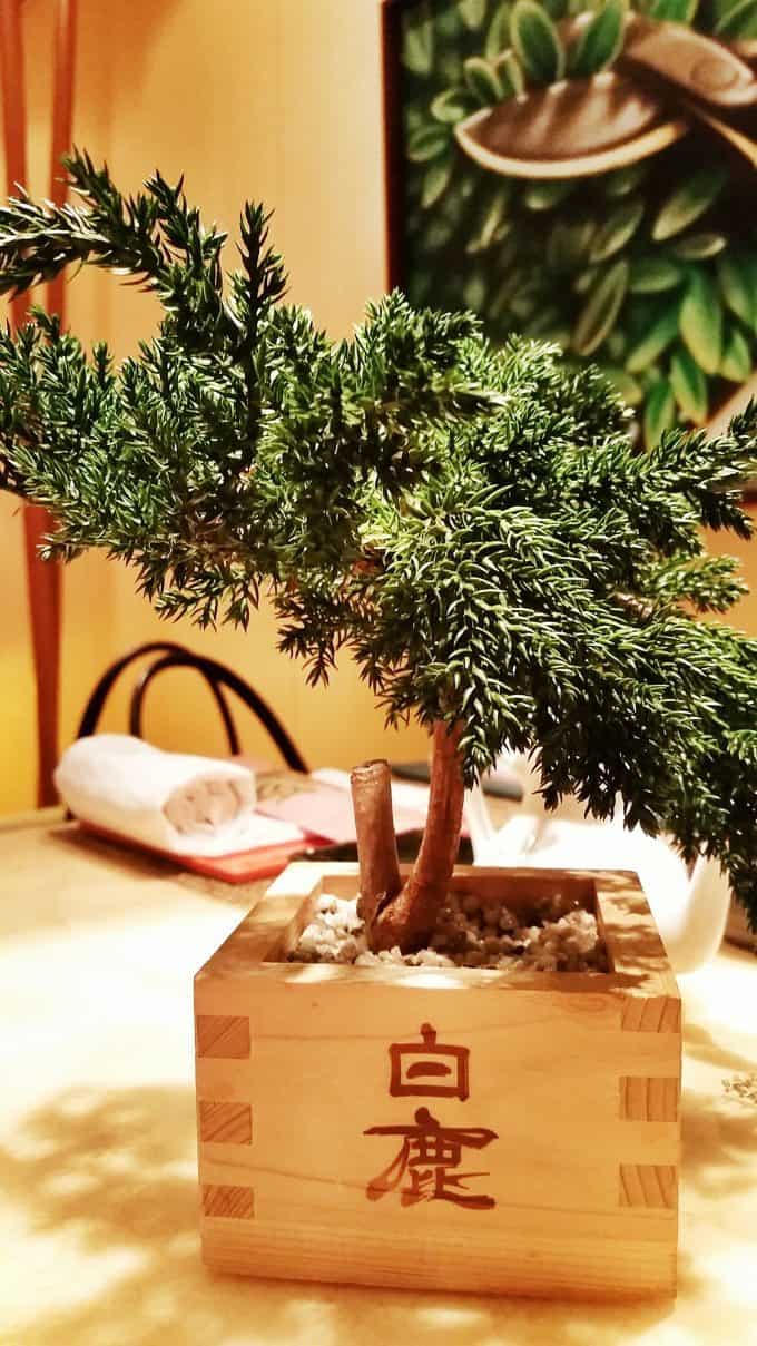 Bonsai Sushi on the Carnival Sunshine