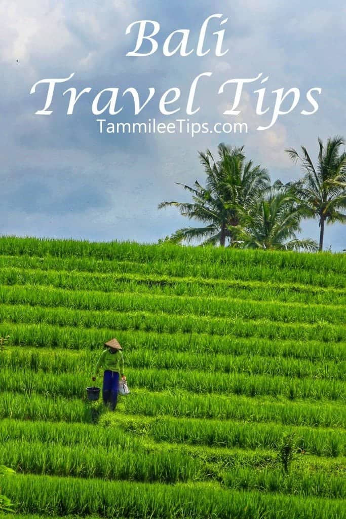 Buli Tipps Buli Tipps