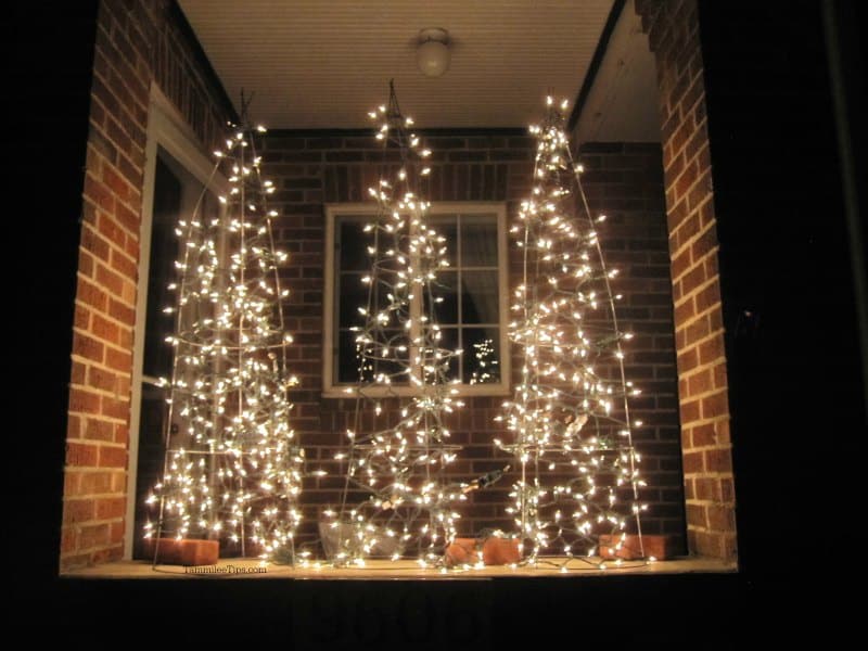 Tomato cages lit with Christmas lights 