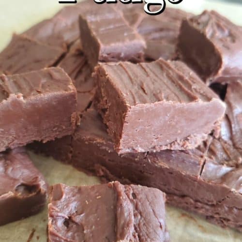 Carnation Famous Fudge Recipe Tammilee Tips