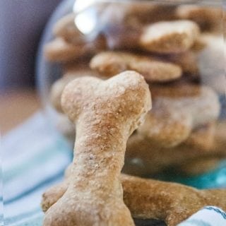dog biscuit leaning against a glass bowl filled with biscuits