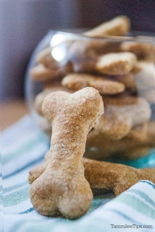 bone shaped dog biscuit in front of a bowl of biscuits