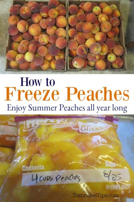 How to freeze peaches with photos of peaches and bagged peaches