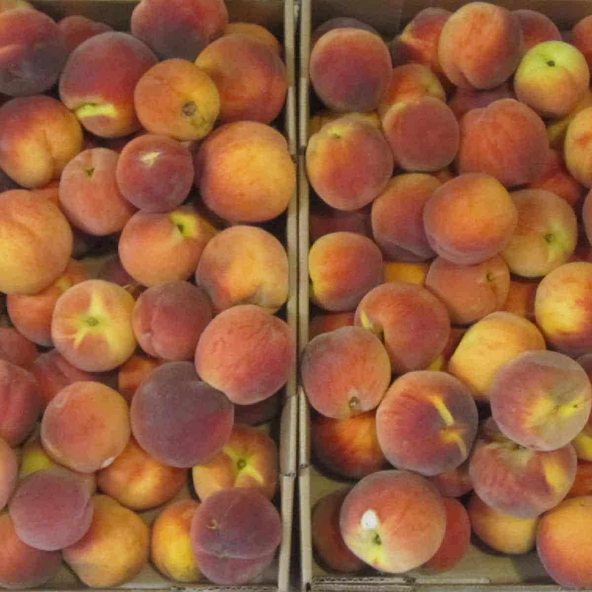boxes of peaches