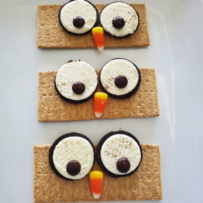 Graham Cracker Owls on a white platter