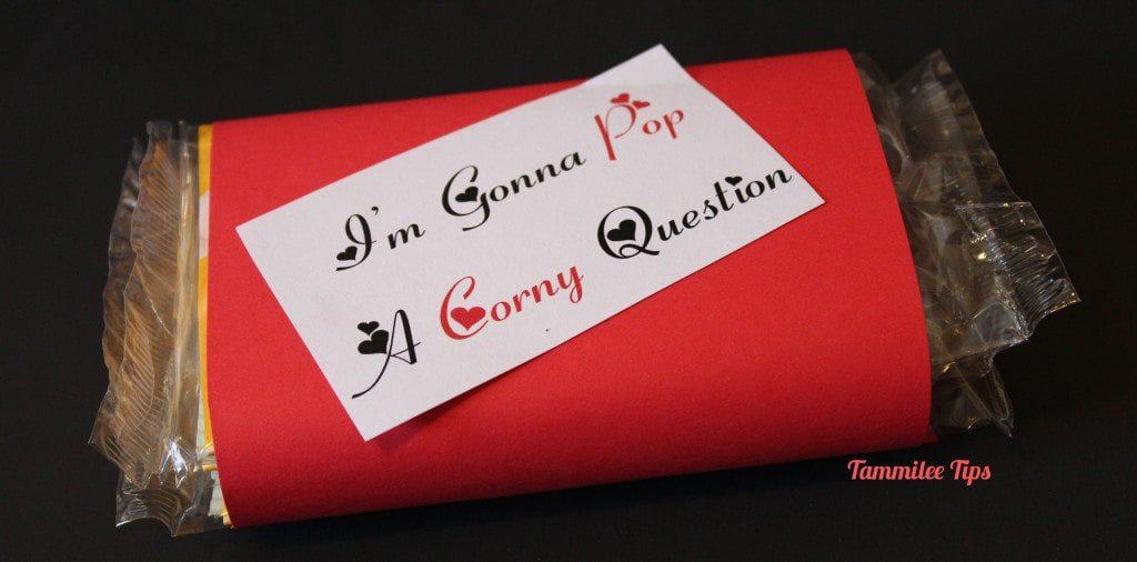Im Gonna Pop A Corny Question - Tammilee Tips