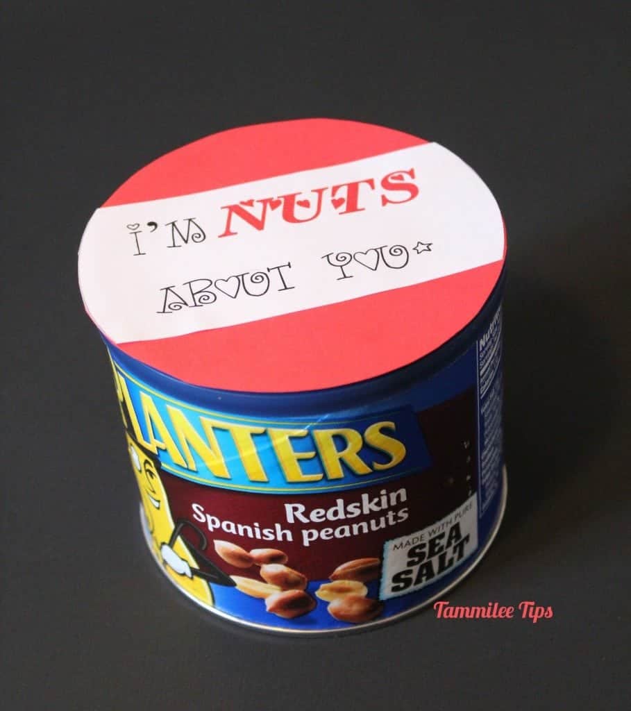 Im nuts About You Valentine - Tammilee TIps
