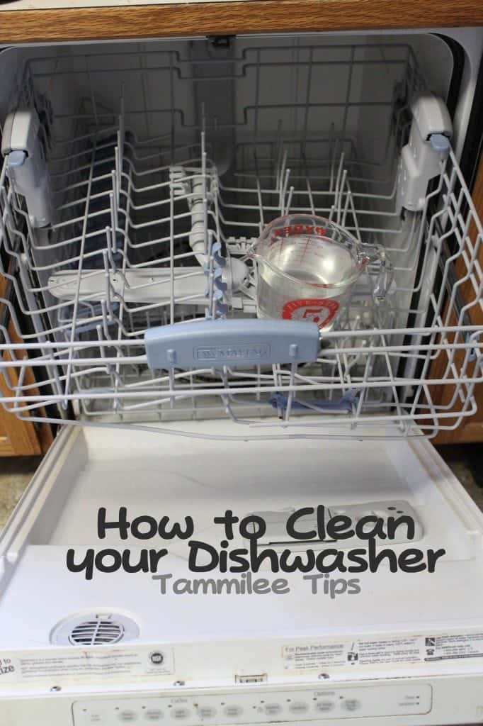 How to clean your Dishwasher - Tammilee Tips
