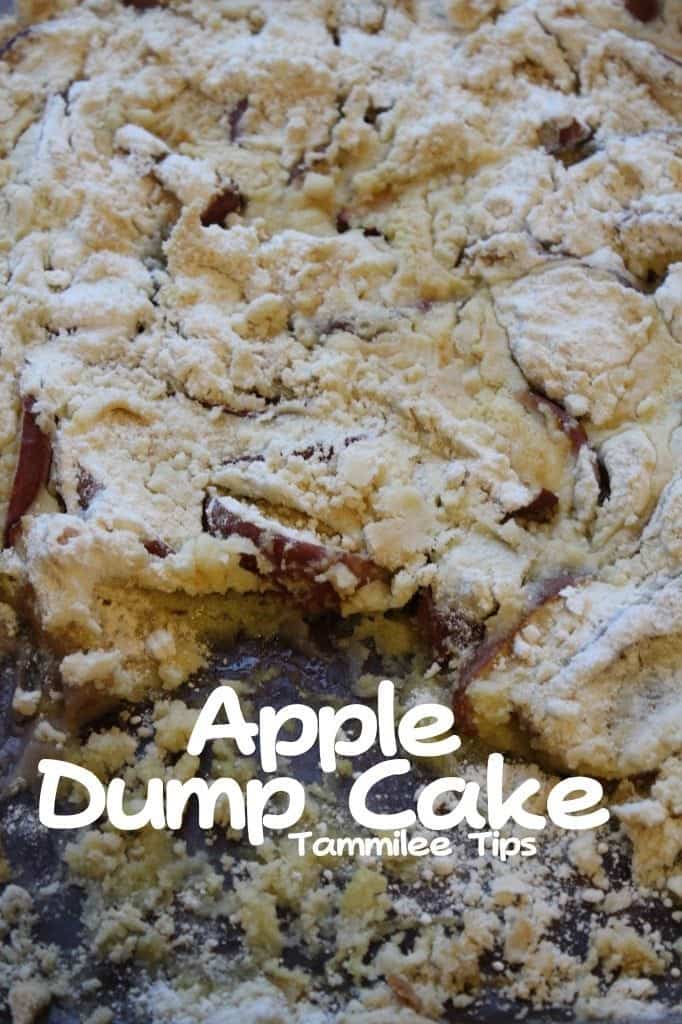 Apple Dump Cake text below a cake pan filled with dump cake