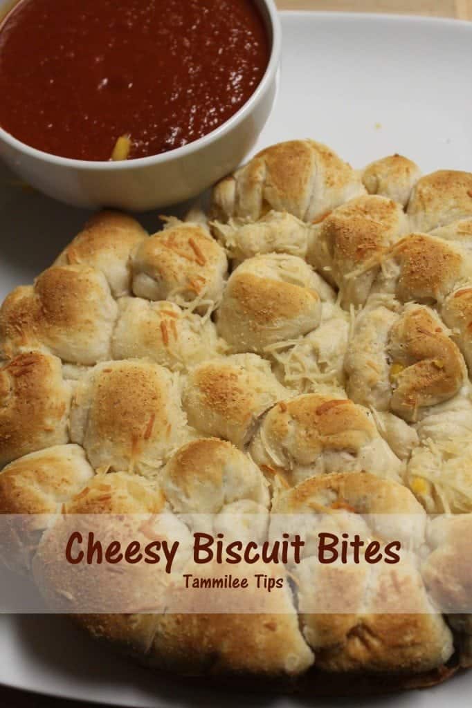 Cheesy Biscuit Bites Recipe Tammilee Tips