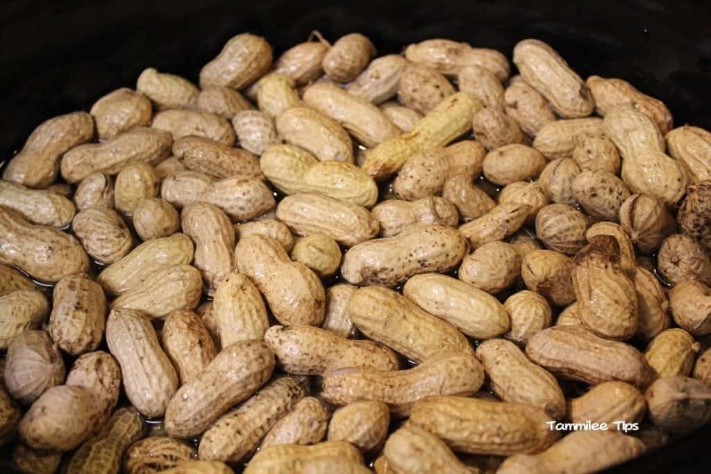 Crock Pot Cajun Boiled Peanuts