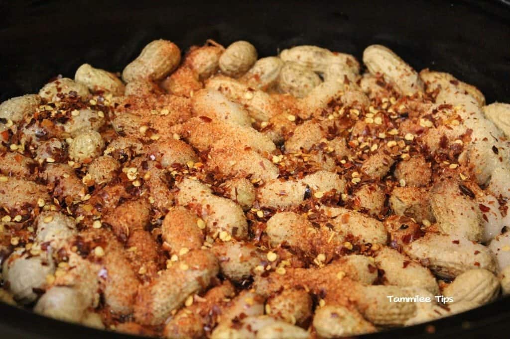 Crock Pot Cajun Boiled Peanuts