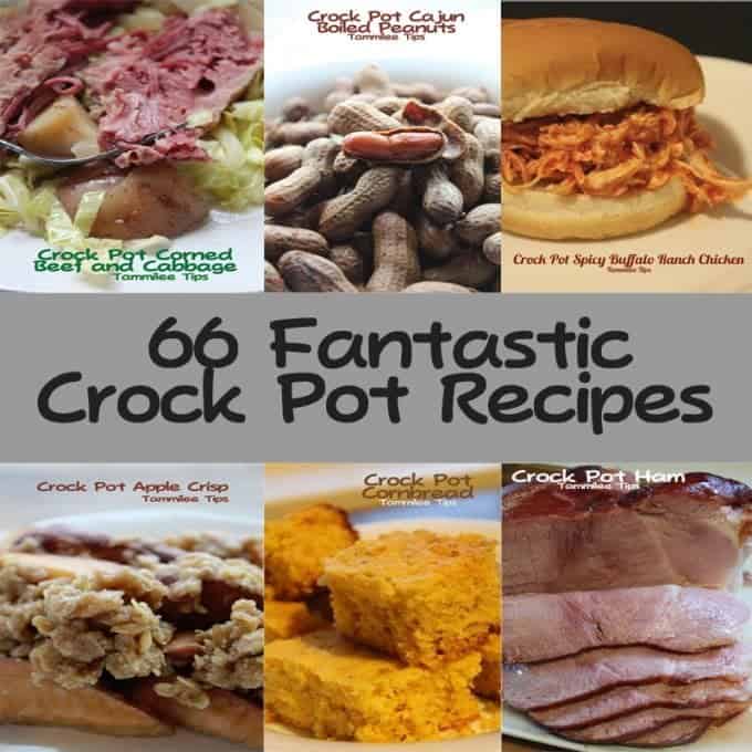 66 Amazing Crock Pot Recipes!