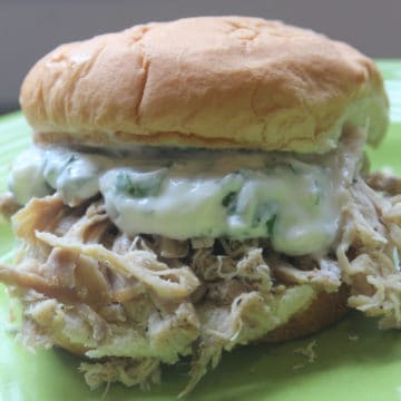 Cuban pulled pork sandwich on a green plate