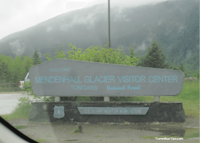 Golden-Princess-Juneau-Mendenhall-Glacier.png
