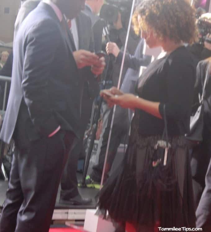 Iron Man 3 Red Carpet Premiere at the El Capitan Theater 9.2