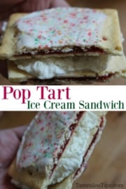 Copy Cat Carls Jr Pop Tart Ice Cream Sandwich - Tammilee Tips