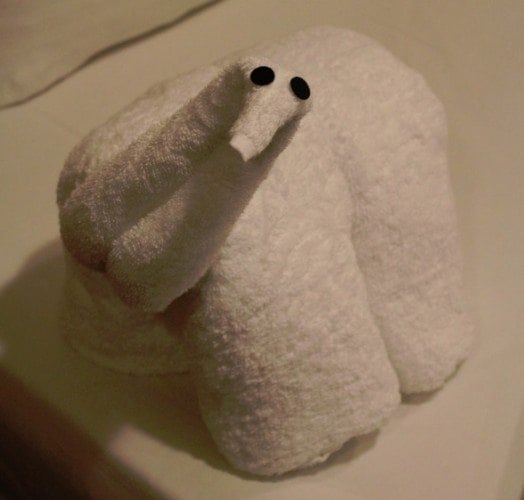 Carnival Breeze Towel Animal Dinosaur