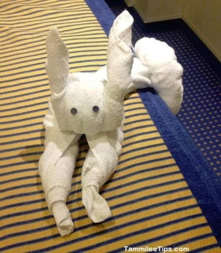 Carnival Breeze Towel Animal