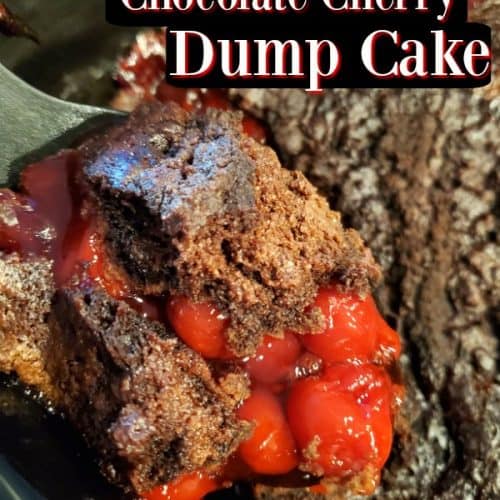 Crock Pot Chocolate Cherry Dump Cake