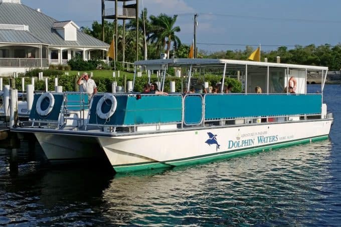paradise dolphin cruise