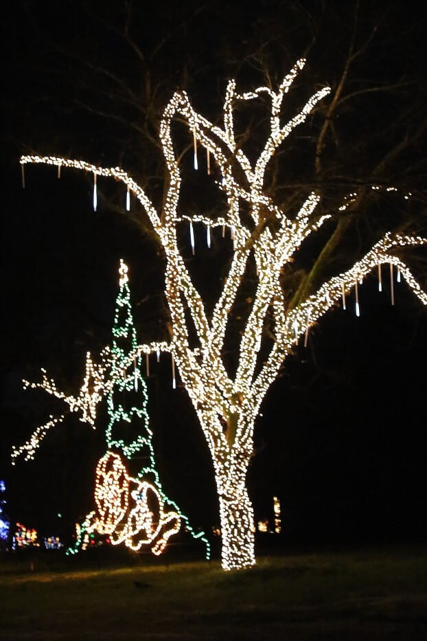 Branson Festival of Lights Drive Thru light display