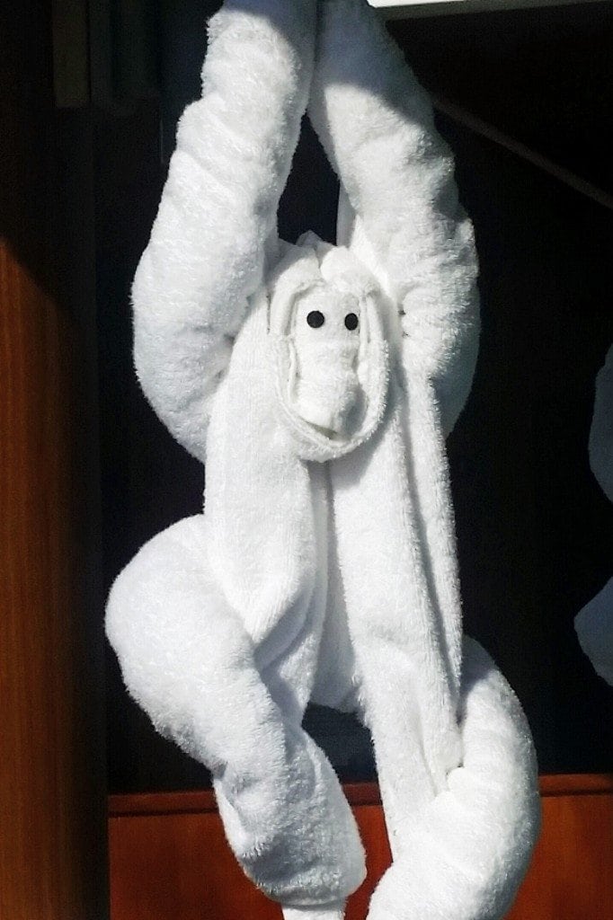 monkey towel animal carnival sunshine