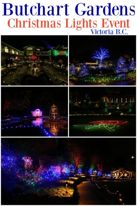 Butchart Gardens Victoria BC Holiday Light Display