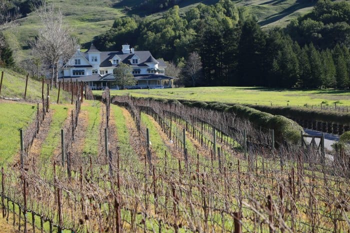 Grapevines leading to a large white house with rolling hills