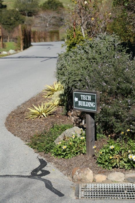 Tech building sign pointing up a road with plants on either side