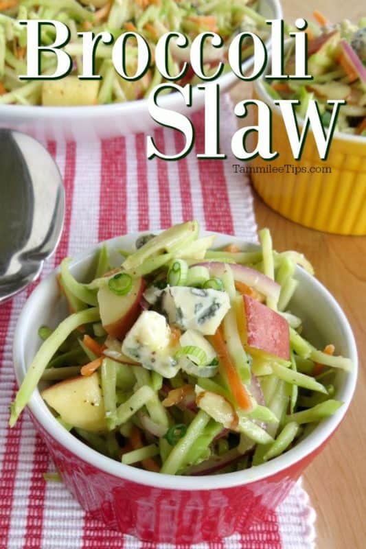 Broccoli slaw in a red ramekin bowl next to a white bowl and spoon