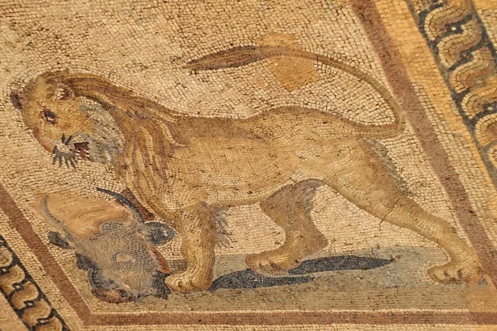 Lion on floor of Terra Cotta House