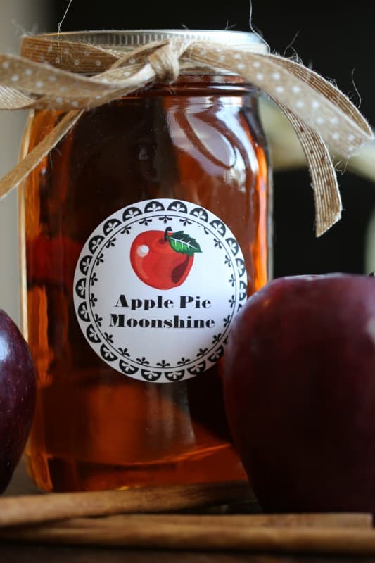 Crock Pot Apple Pie Moonshine Recipe