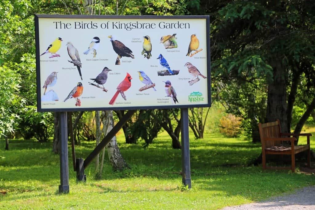 Birds of Kingsbrae Gardens