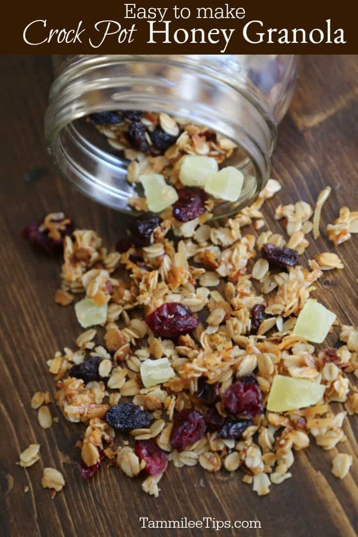 Crock Pot Honey Granola with dried fruit recipe