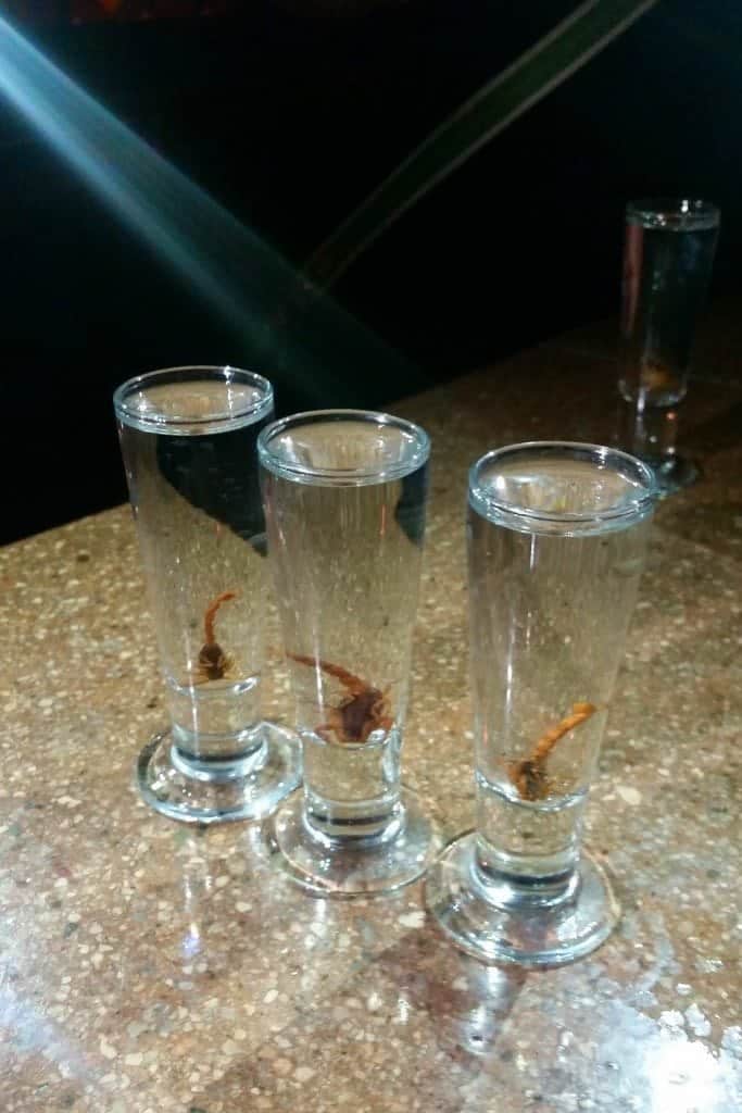 Scorpion Shots at Nacho Daddy Las Vegas