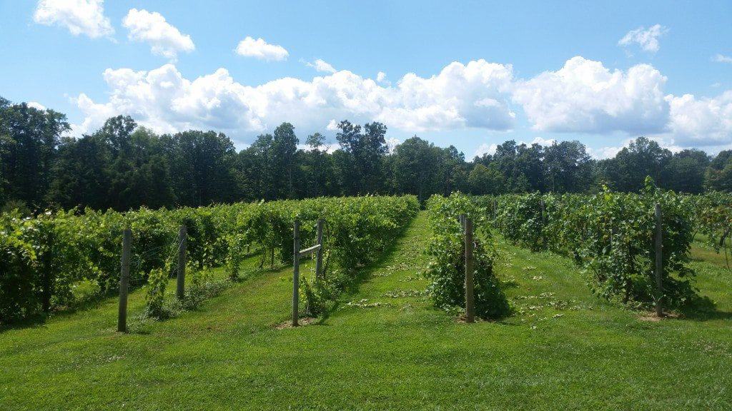 Breweries, Wineries and Distilleries in Bloomington Indiana