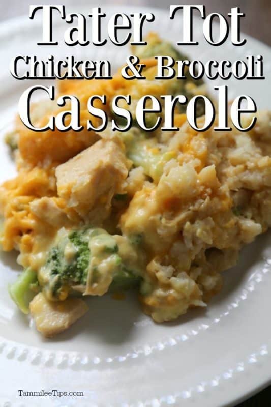 https://www.tammileetips.com/wp-content/uploads/2015/09/Tater-Tot-Chicken-Casserole-Recipe-533x800.jpg