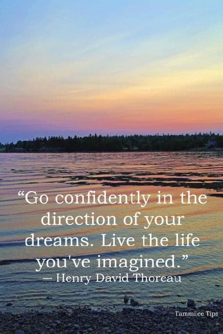 “Go confidently in the direction of your dreams. Live the life you've imagined.”