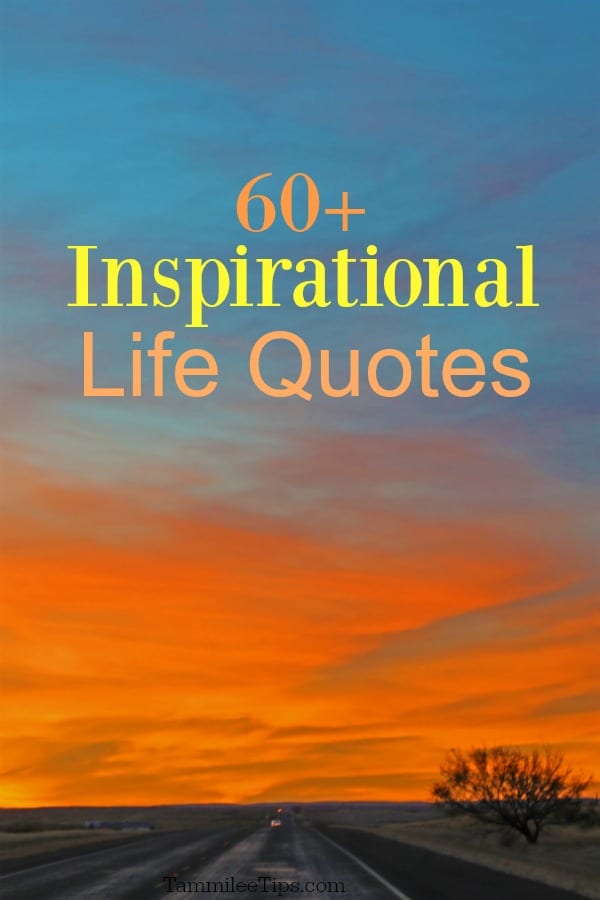 60+ Inspirational Life Quotes - Tammilee Tips