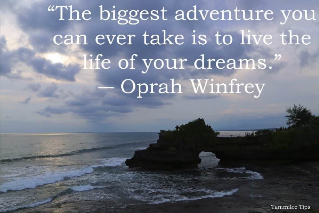 The biggest adventure you can ever take is to live the life of your dreams.”