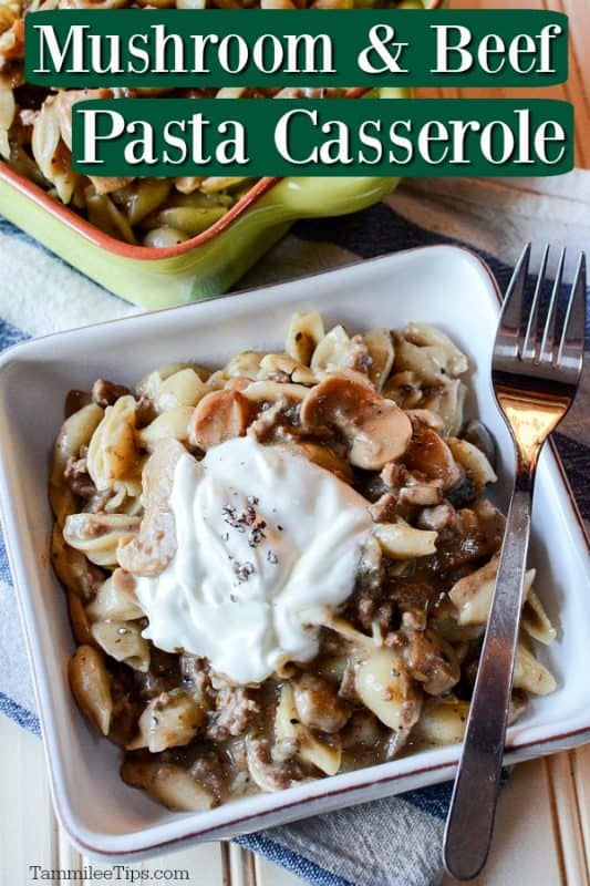 https://www.tammileetips.com/wp-content/uploads/2016/03/Mushroom-Beef-Pasta-Casserole-533x800.jpg